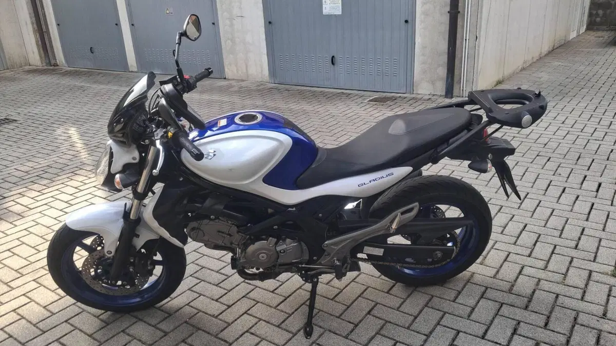 Suzuki Gladius 650 SFV (2009 - 15)  (14)
