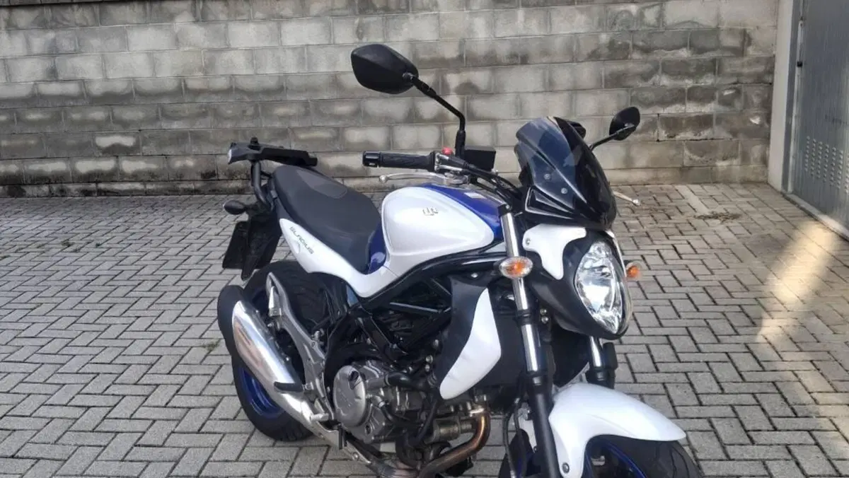 Suzuki Gladius 650 SFV (2009 - 15)  (15)