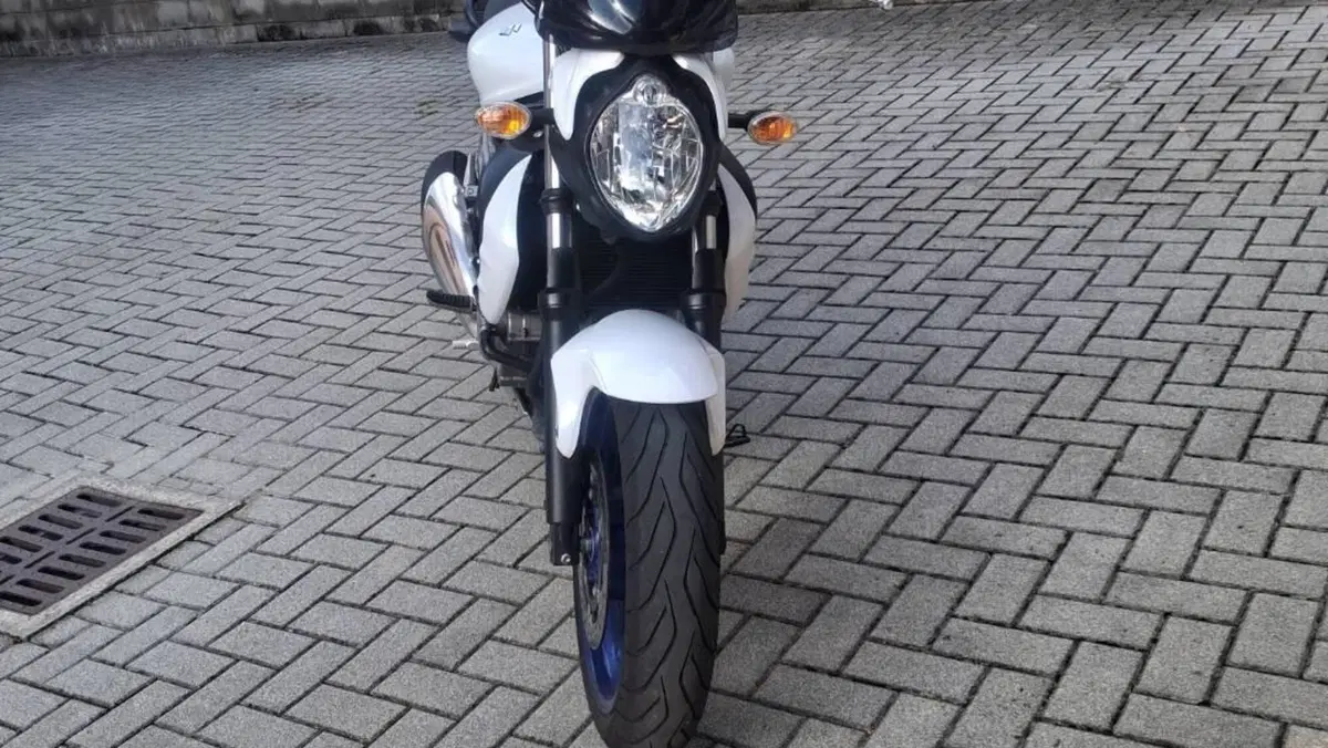 Suzuki Gladius 650 SFV (2009 - 15)  (16)
