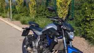 Yamaha MT-07 (2014 - 16)  (5)