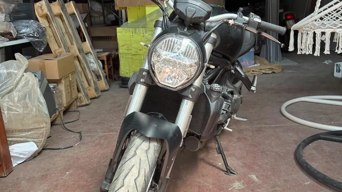 Ducati Monster 821 (2018 - 20)  (2)