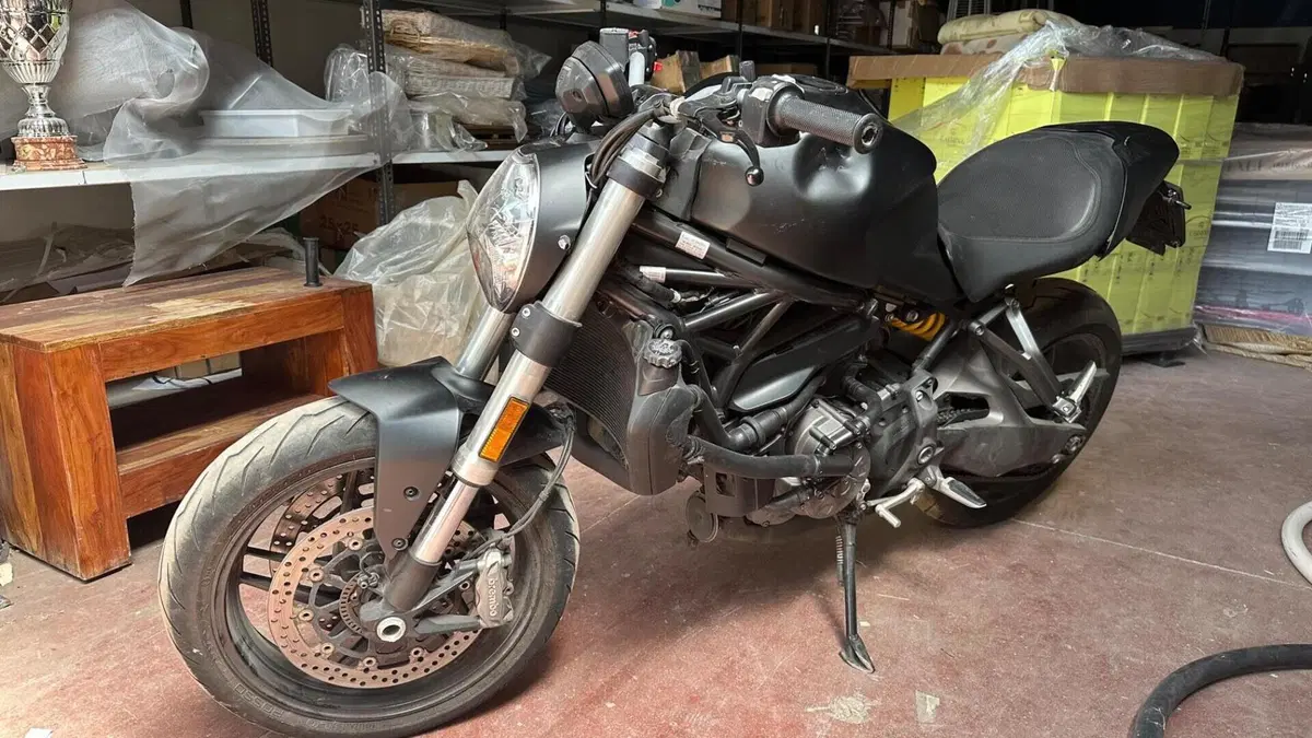 Ducati Monster 821 (2018 - 20)  (4)