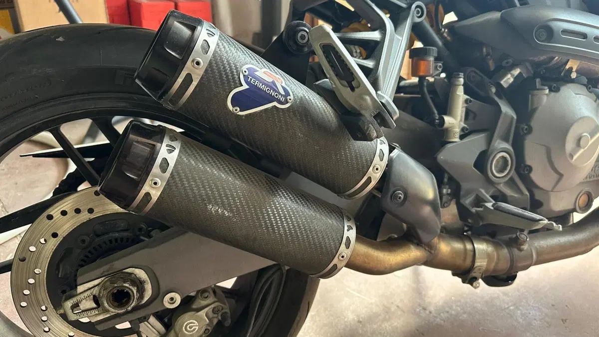 Ducati Monster 821 (2018 - 20)  (6)