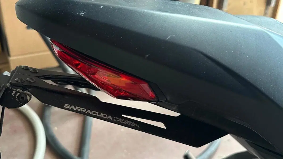 Ducati Monster 821 (2018 - 20)  (8)