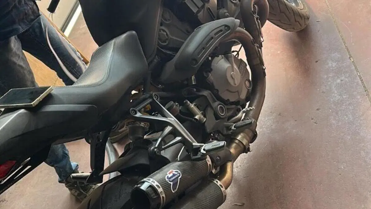 Ducati Monster 821 (2018 - 20)  (9)