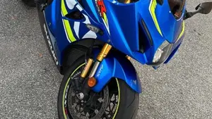 Suzuki GSX-R1000R (2017 - 18)  (4)