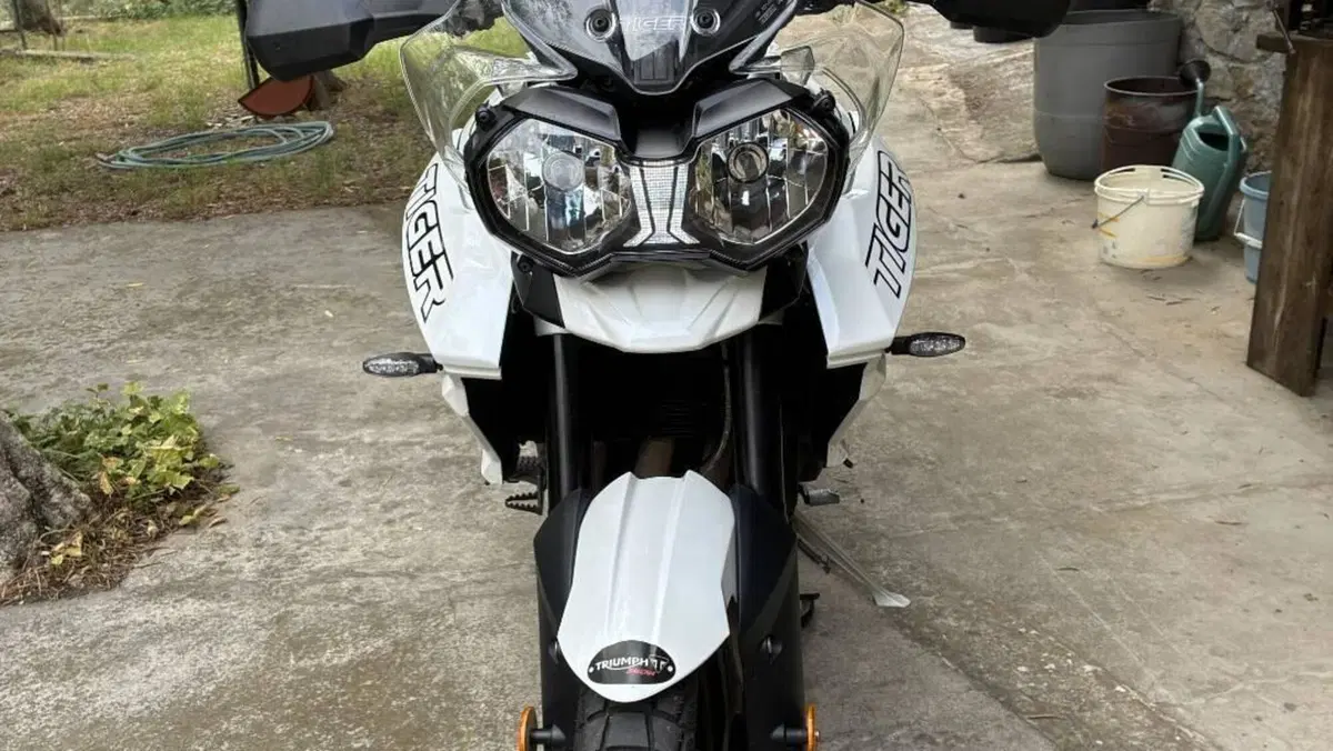Triumph Tiger 800 XRx (2018 - 20)  (2)