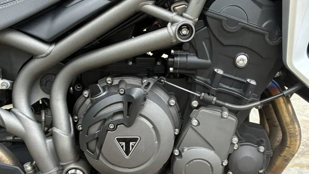 Triumph Tiger 800 XRx (2018 - 20)  (4)