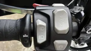 Triumph Tiger 800 XRx (2018 - 20)  (5)
