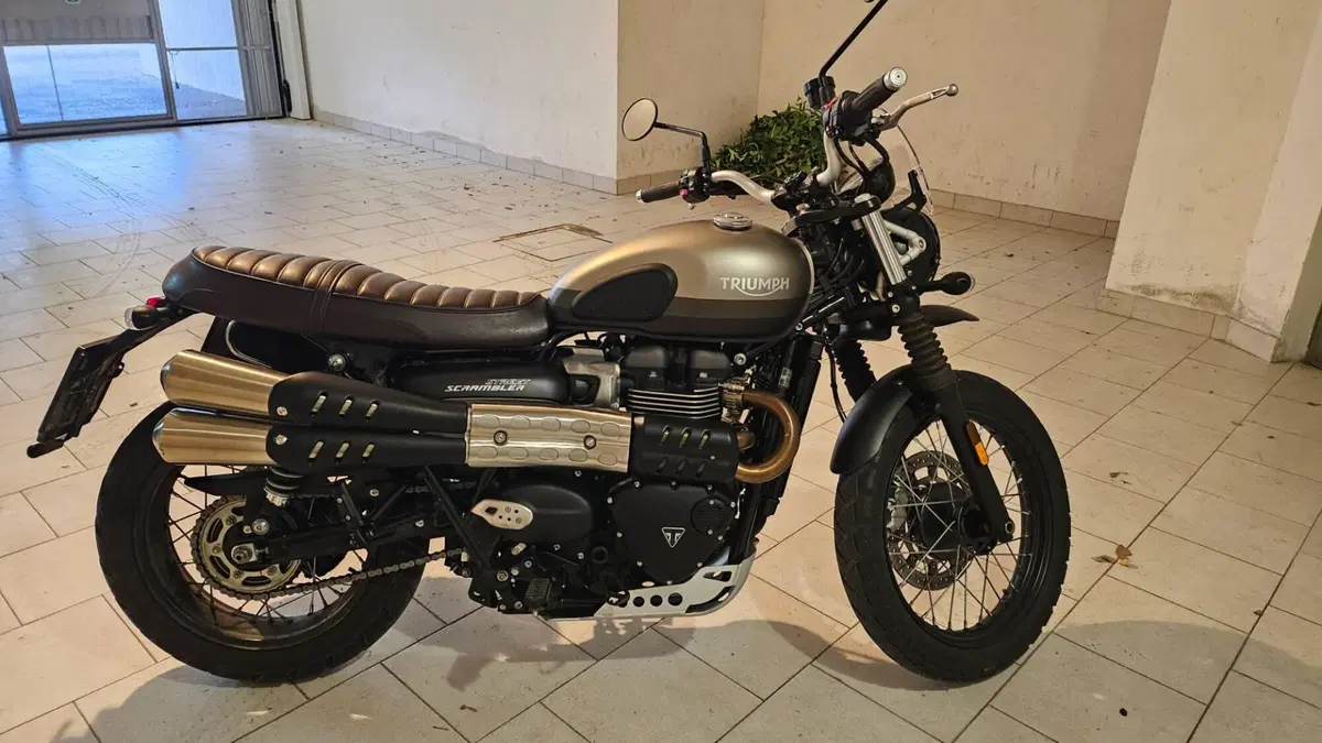 Triumph Street Scrambler 900 Sandstorm (2021 - 22) 