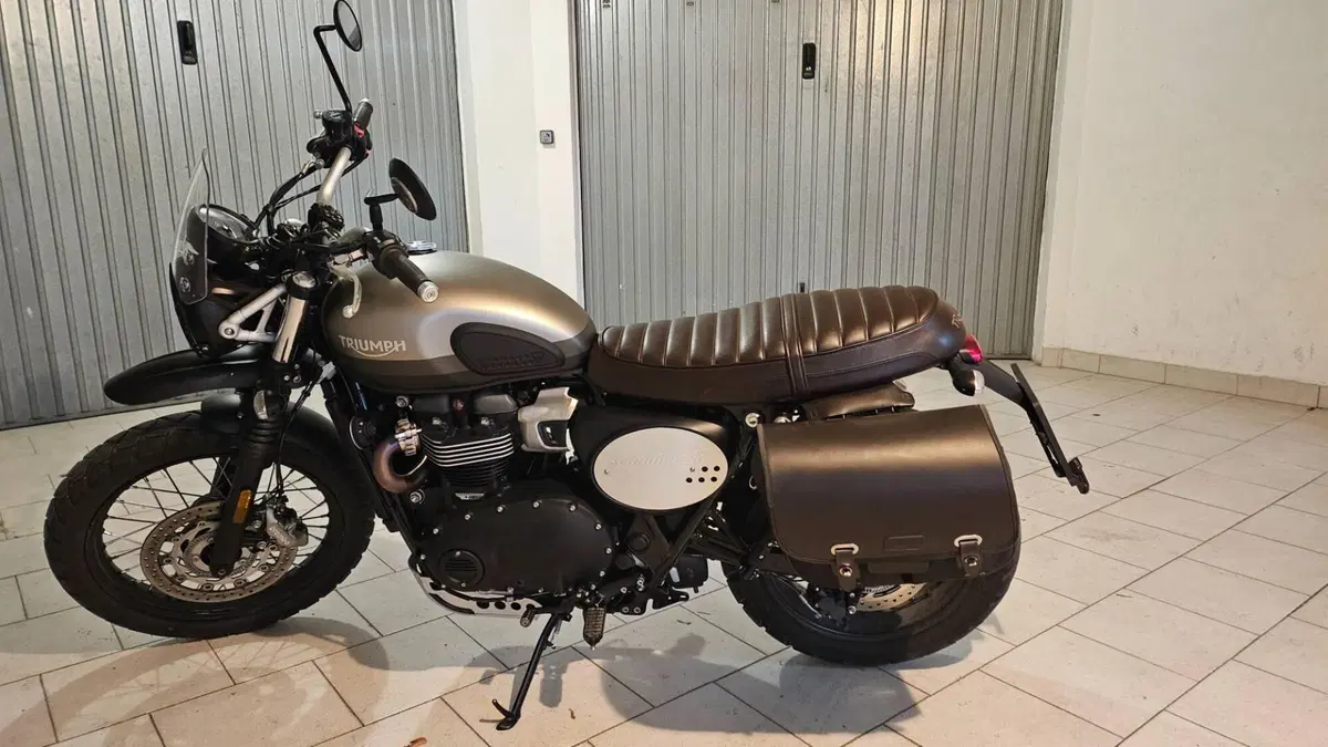 Triumph Street Scrambler 900 Sandstorm (2021 - 22)  (2)