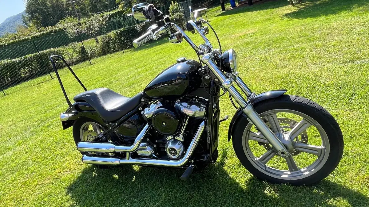 Harley-Davidson Softail Standard (2020) - FXST  (3)
