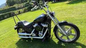 Harley-Davidson Softail Standard (2020) - FXST  (3)