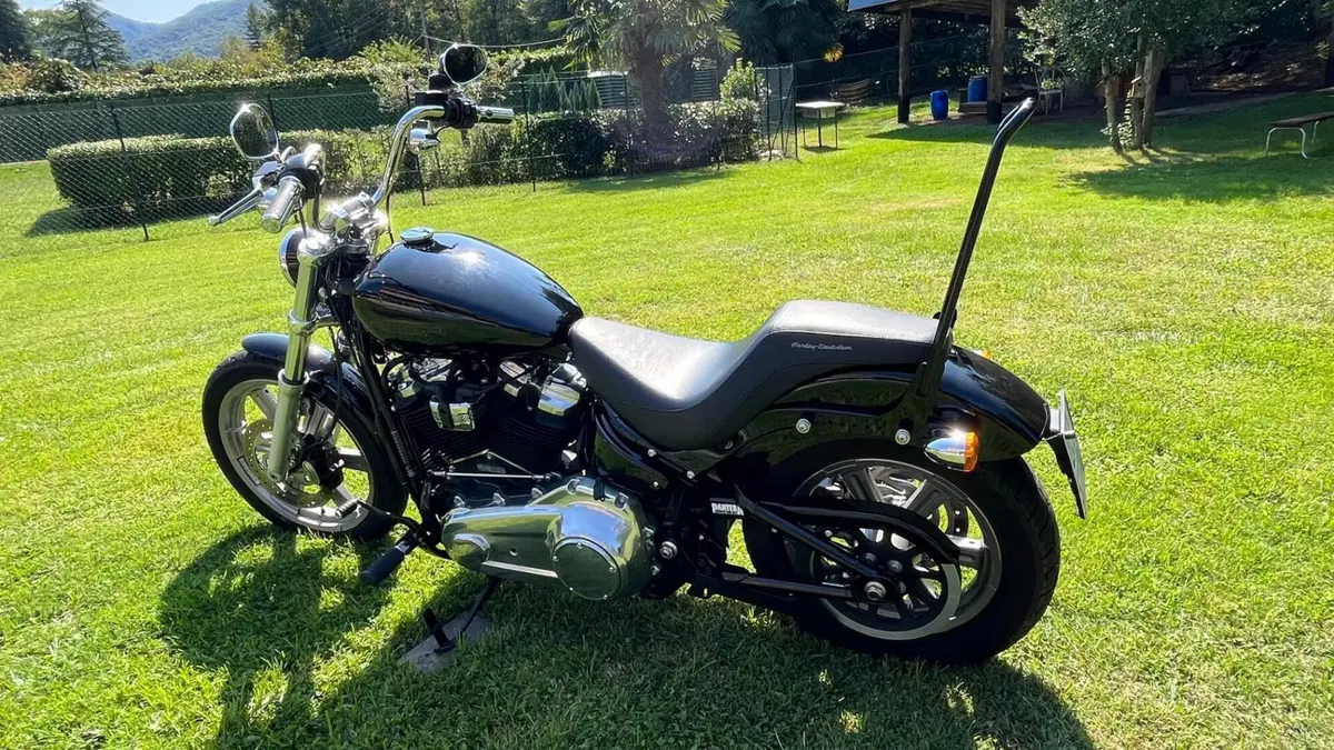 Harley-Davidson Softail Standard (2020) - FXST  (4)