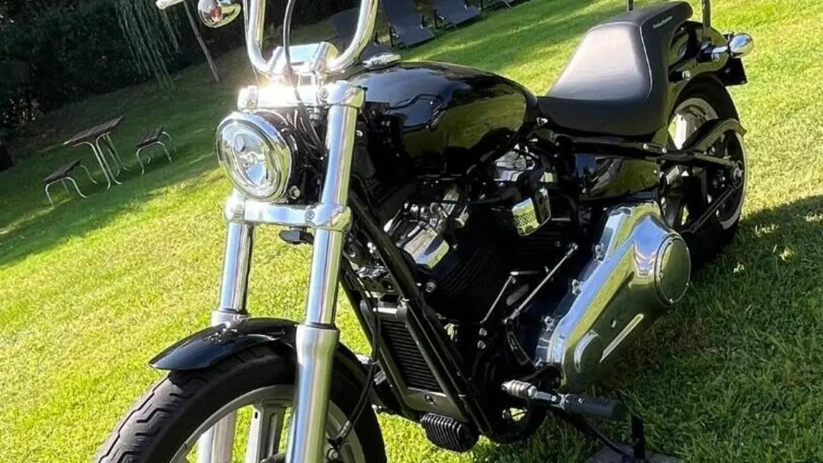 Harley-Davidson Softail Standard (2020) - FXST  (5)