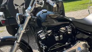 Harley-Davidson Softail Standard (2020) - FXST  (8)