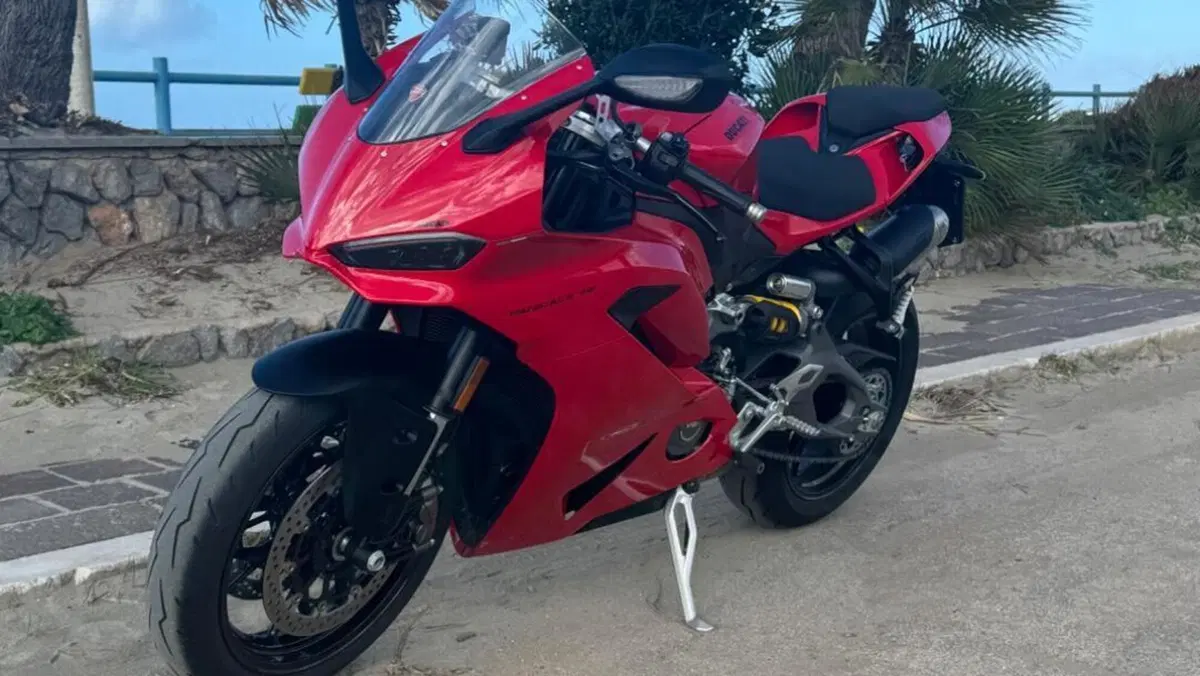 Ducati Panigale V2 (2025 - 26)  (2)