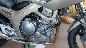 Yamaha TDM 900 (2002 - 14)  (6)