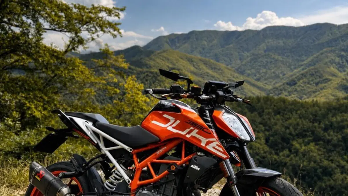 KTM 390 Duke ABS (2017 - 20) 