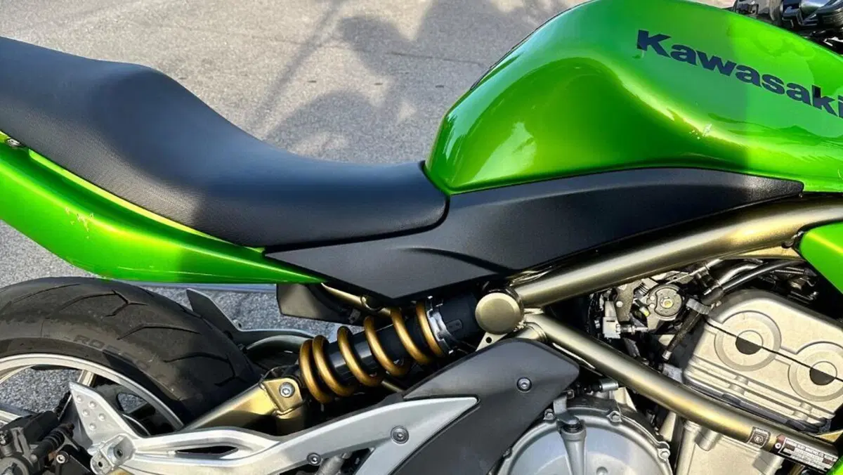 Kawasaki ER-6N (2006 - 09)  (4)