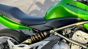 Kawasaki ER-6N (2006 - 09)  (4)