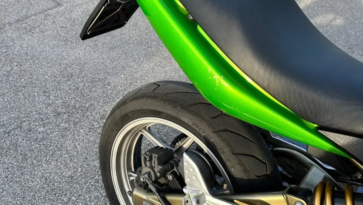 Kawasaki ER-6N (2006 - 09)  (5)