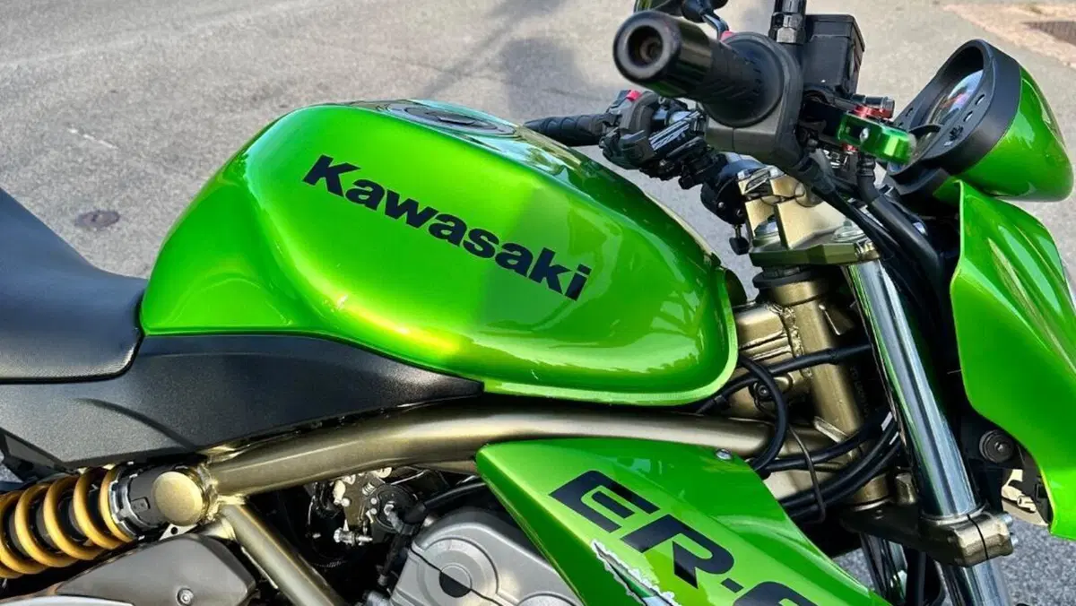 Kawasaki ER-6N (2006 - 09)  (6)