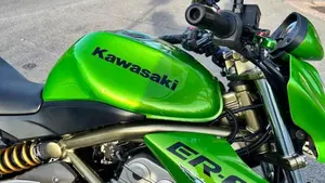 Kawasaki ER-6N (2006 - 09)  (6)