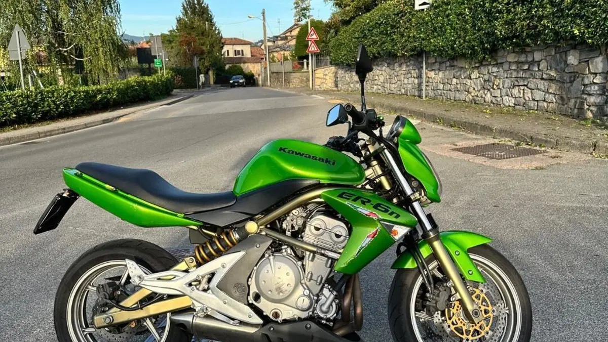 Kawasaki ER-6N (2006 - 09)  (3)