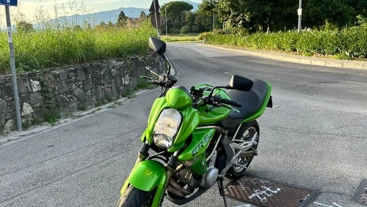 Kawasaki ER-6N (2006 - 09)  (7)