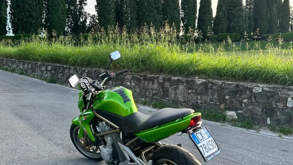 Kawasaki ER-6N (2006 - 09)  (8)