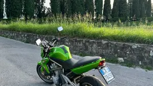 Kawasaki ER-6N (2006 - 09)  (8)