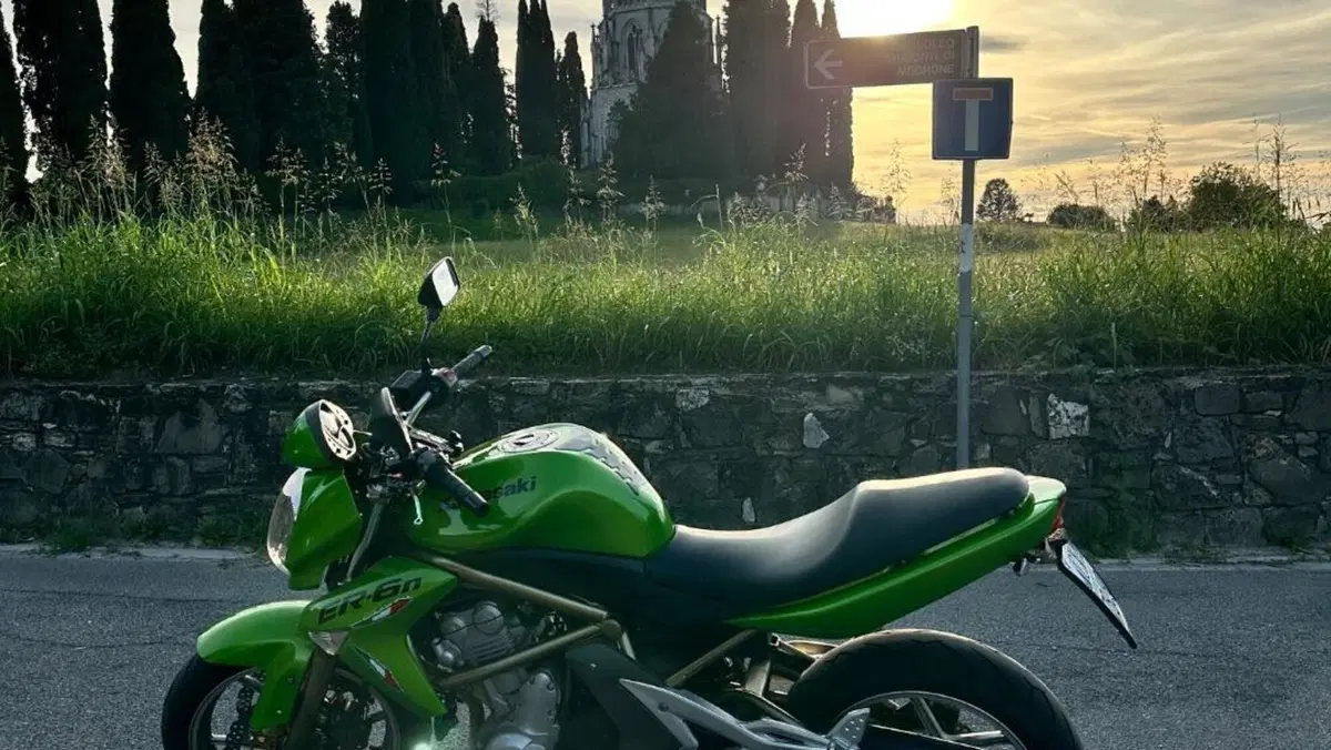 Kawasaki ER-6N (2006 - 09)  (2)