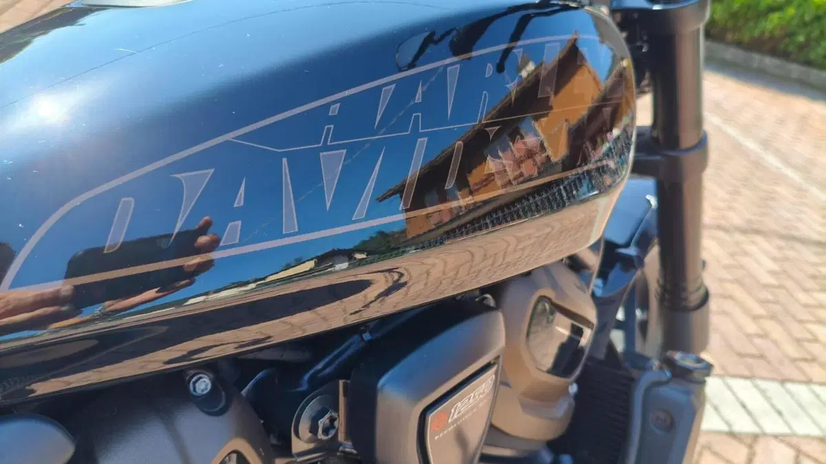Harley-Davidson Sportster S (2022 - 24)  (6)