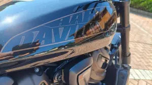 Harley-Davidson Sportster S (2022 - 24)  (6)