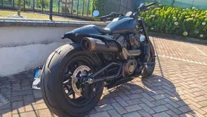 Harley-Davidson Sportster S (2022 - 24)  (2)