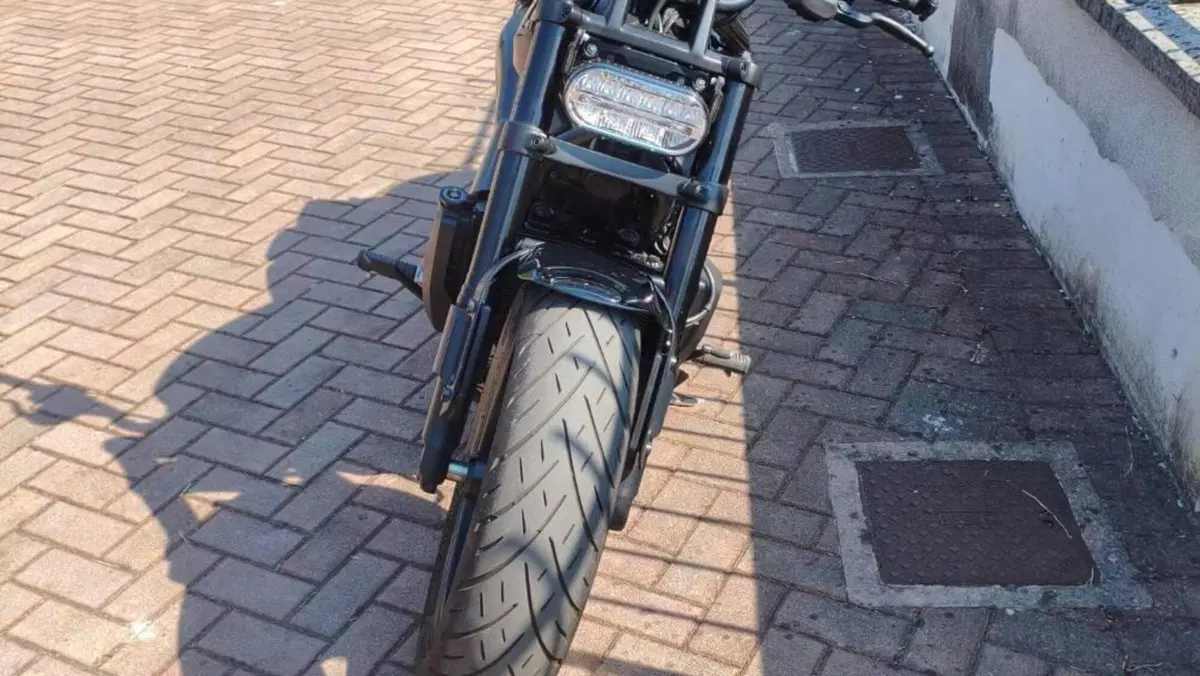 Harley-Davidson Sportster S (2022 - 24)  (9)
