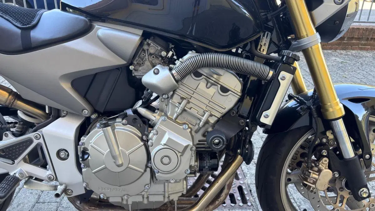 Honda Hornet 600 (2005 - 06)  (4)