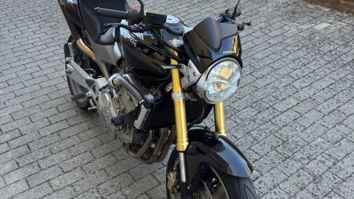 Honda Hornet 600 (2005 - 06)  (6)