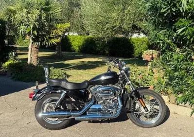 Harley-Davidson 1200 Low (2008 - 09) - XL 1200L - Annuncio 10101874