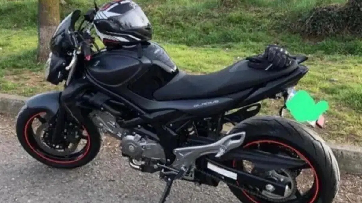 Suzuki Gladius 650 SFV (2009 - 15)  (3)