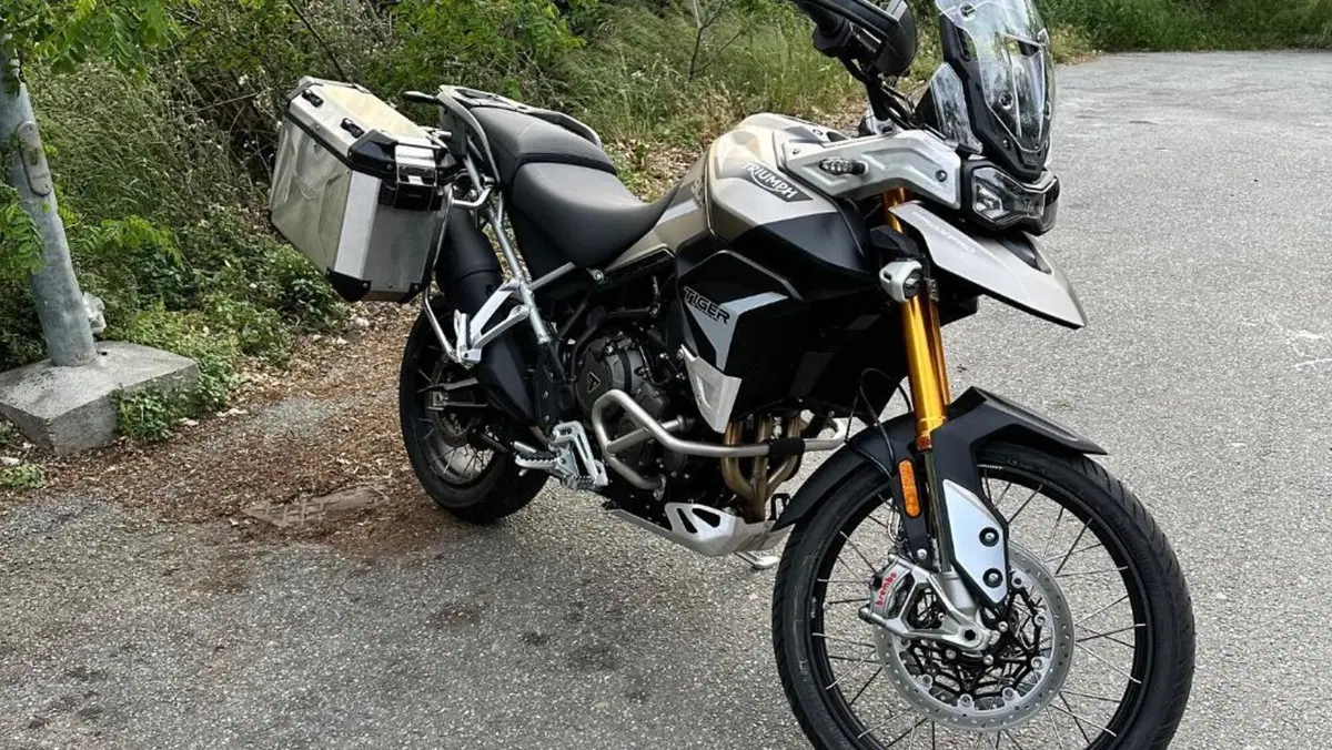 Triumph Tiger 900 Rally Pro (2020 - 23)  (3)