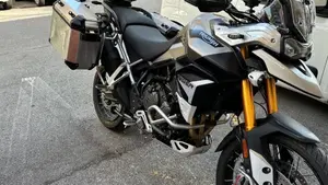 Triumph Tiger 900 Rally Pro (2020 - 23)  (6)