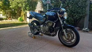 Honda Hornet 600 (2000 - 02)  (4)