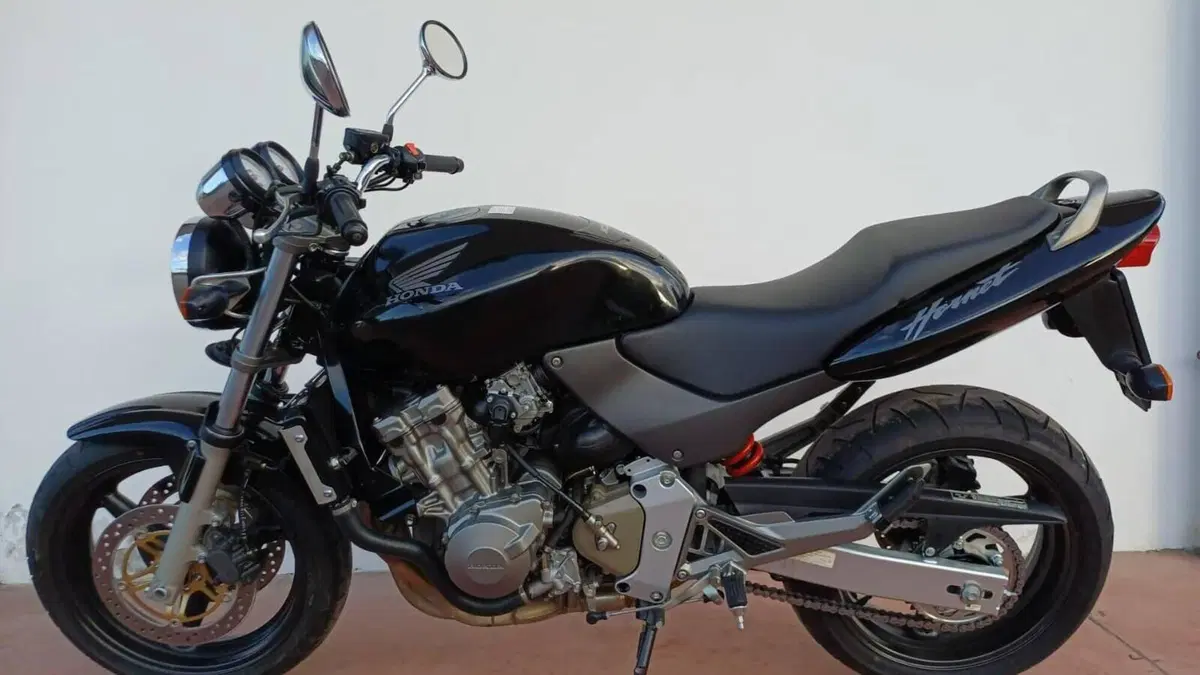 Honda Hornet 600 (2000 - 02)  (8)