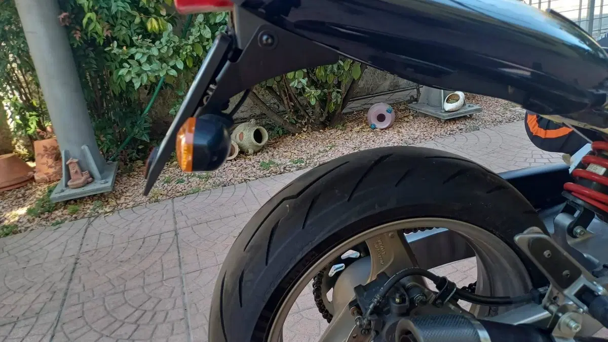 Honda Hornet 600 (2000 - 02)  (12)