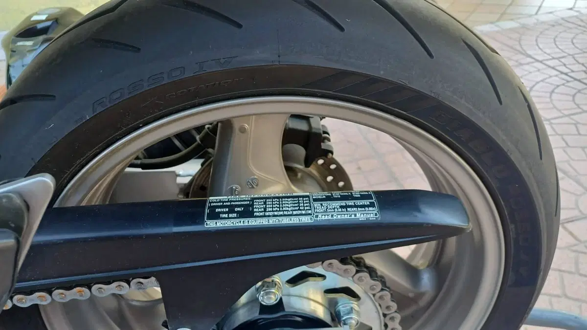 Honda Hornet 600 (2000 - 02)  (13)