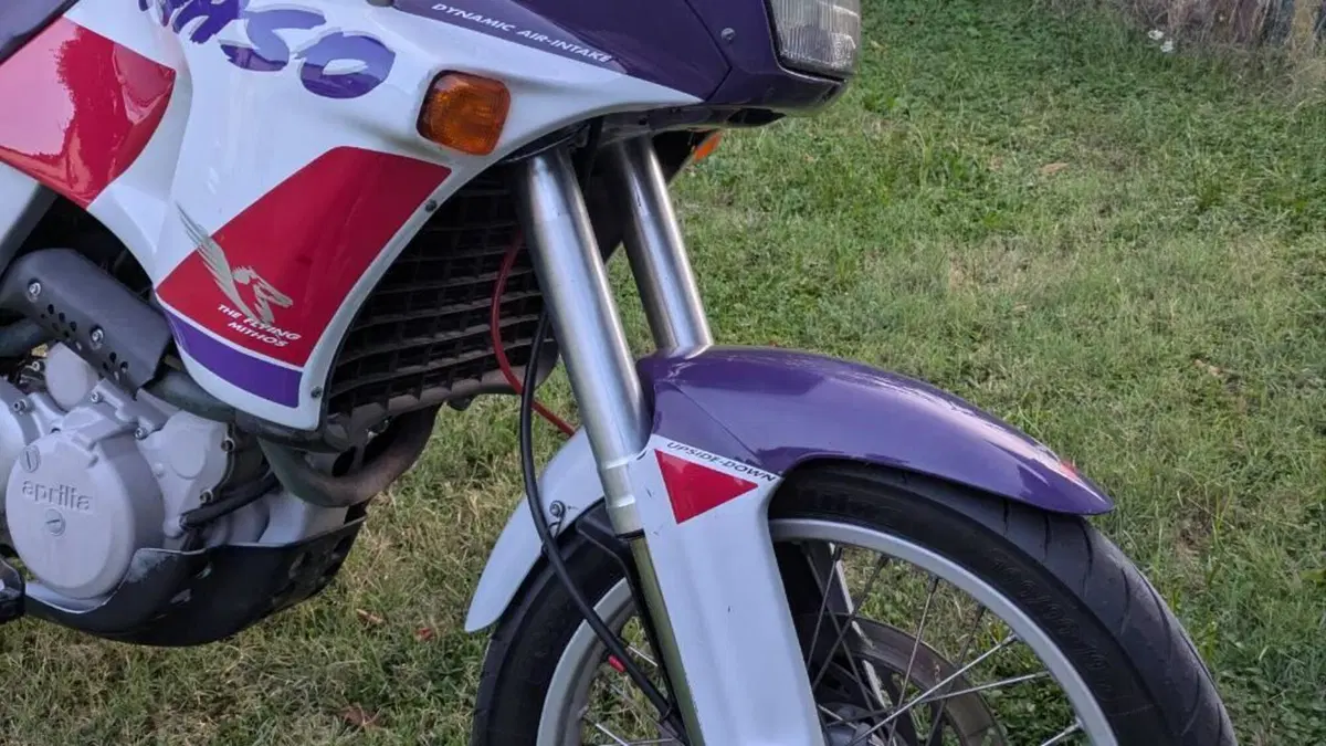 Aprilia Pegaso 650 a.e. (1994 - 96)  (4)