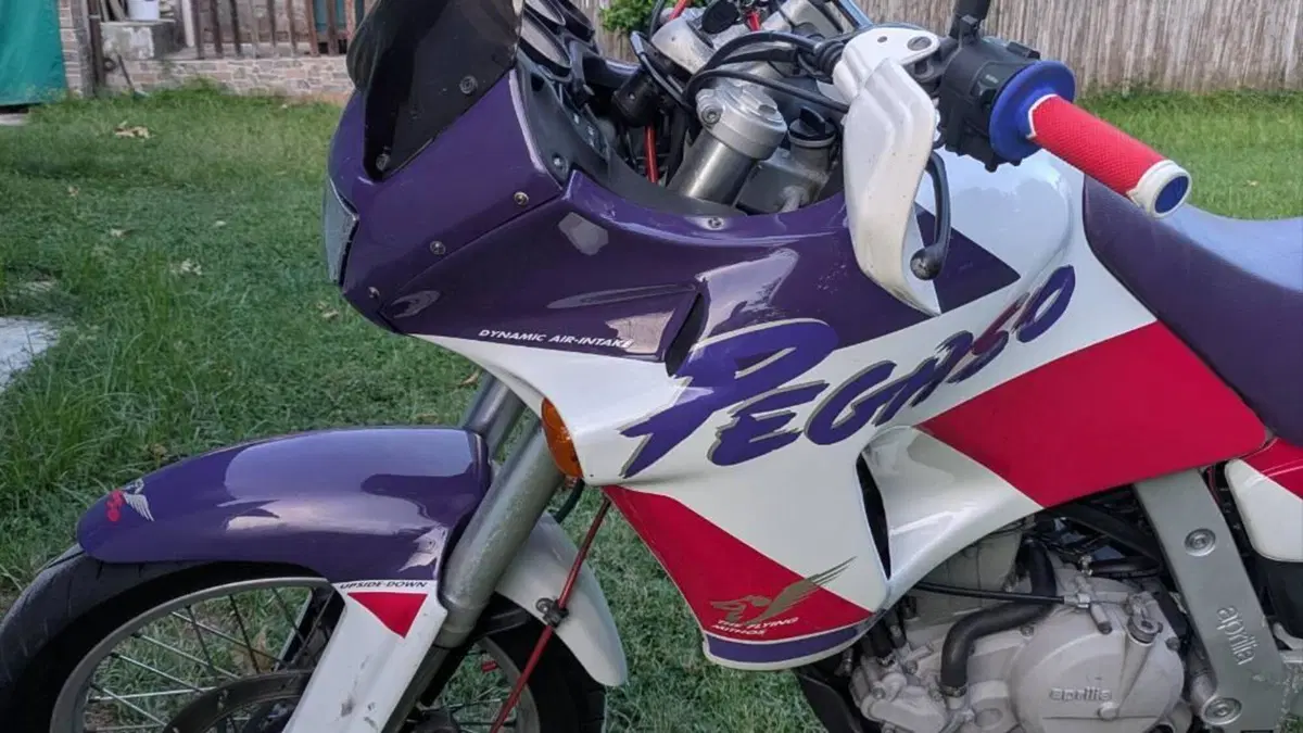 Aprilia Pegaso 650 a.e. (1994 - 96)  (8)