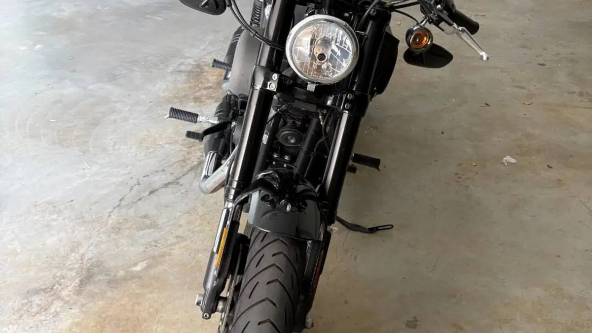 Harley-Davidson 1200 Roadster (2016 - 2017) - XL 1200R  (4)